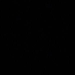 Meet your Posher, Luisa